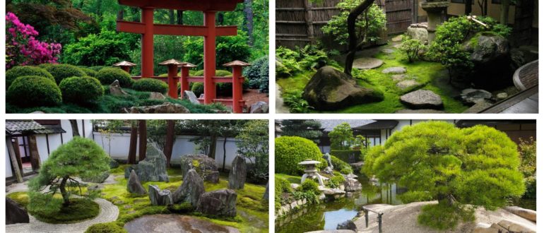 фото японские сады